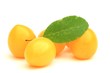 Mirabelles Mirabelles
