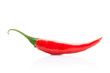 chili pepper isolated on white