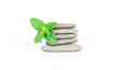 Massage Stones with Mint Leaves