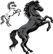 Black horse