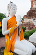 White buddha statue in Ayutthaya province White buddha statue in Ayutthaya province