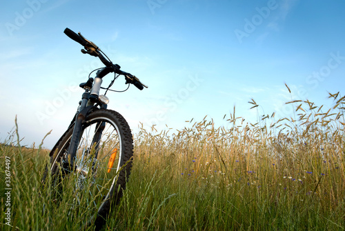 Photo: bike bike