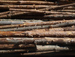blocks of wood at the stake as a background