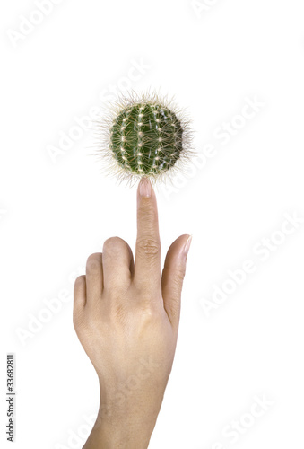 Photo: Main Cactus Main Cactus