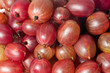 gooseberries