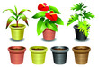 Indoor office plants - 1