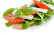 Sandwich mit Tomate-Mozzarella