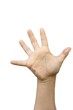 hand