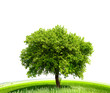 Green Planet