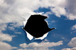 Black hole in sky
