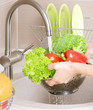 Fresh Vegetables Washing