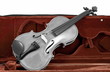 Black and white Violin in red brown case
