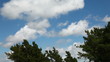 Time lapse clip of white fluffy clouds over blue sky