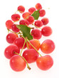 Photo: red cherries/rote Kirschen red cherries/rote Kirschen