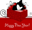 Little kitten sleeping in a New Year's gifts
