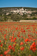 Coquelicots au pied d'un village provençal (Banon) Coquelicots au pied d'un village provençal (Banon)