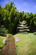 paysage des cévennes