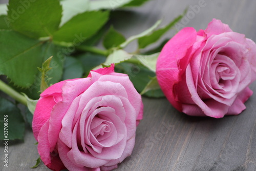 Foto: Rosen Rosen