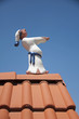 Sleepwalker walking on roof