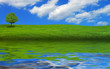 Country Lake Scene