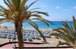 The tourists enjoying clear water at the beach, Tenerife, Spain
