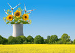 Energiewende, Energiepolitik, Rapsfeld, Nachnutzung, Ausstieg