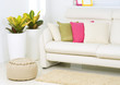 Modern Interior. Living Room