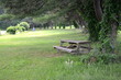 Perfect Picnic Day