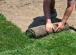 Laying sod
