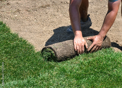 Photo: Laying sod Laying sod