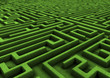 Illustration: green maze green maze