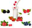 Raspberry falling into the milk splash. Vector illustration.