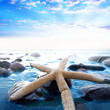 Vacation conceptual image.