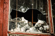 Photo: Pieces of a broken window Pieces of a broken window