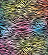 abstract skin texture of zebra