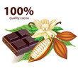 Chocolate vanilla flower and fruit of the cocoa