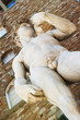 David of Michelangelo
