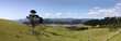 Wiesen und Hügel auf der Coromandel-Halbinsel