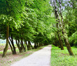Spring time in park