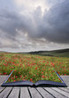 Creative concept image of poppy field landscape coming out of pa