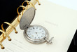 pocket watch