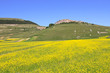 Castelluccio-Piano Grande-Monti Sibillini-Umbrien-Italien