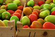 Tomatoes