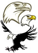 Adlerkopf, Adler