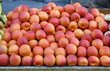 Aprikosen