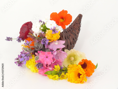 Photo: Blüten im Füllhorn Blüten im Füllhorn