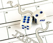 Risk concept - snakes and ladders