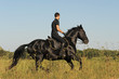 gallop en pleine nature