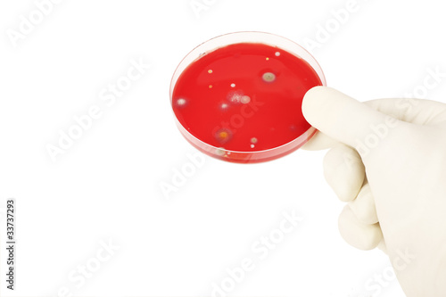 Foto: Multiresistant Multiresistant
