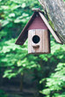 Bird House on a tree